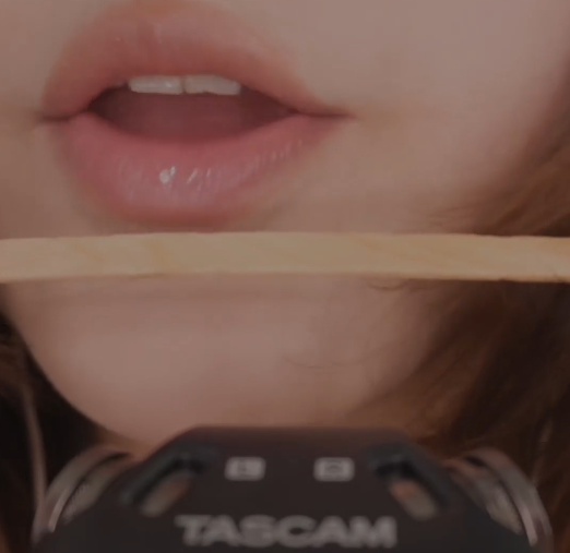 bobooz E024 搅拌棒 黑巧酱带来的口腔音 晚安哦!15min 1V315M百度盘-福利岛