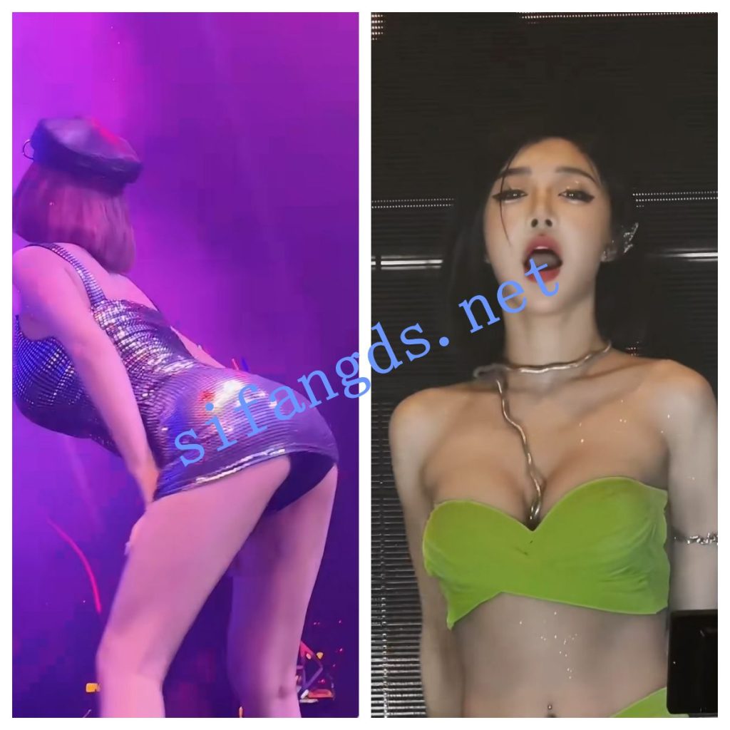 【网红女DJ现场大尺度热舞2】真空乳沟 后摇 跪摇 性感死了【181V】【2G】 预览图 12