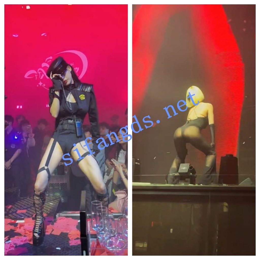 【网红女DJ现场大尺度热舞2】真空乳沟 后摇 跪摇 性感死了【181V】【2G】 预览图 6