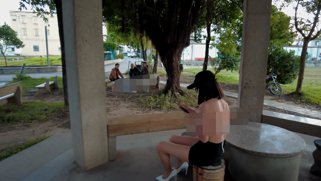 【cikaimoon】半截上衣短裙公园露出 预览图 1