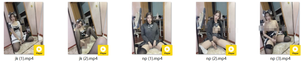 ஐ退圈COSERஐ以理服人藜藜子 高价露脸道具自慰定制JK 女仆【5V】【1.68G】 预览图 8