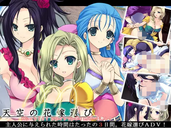 【拔作ADV】天空の花嫁選び DL版[生肉] 预览图 1