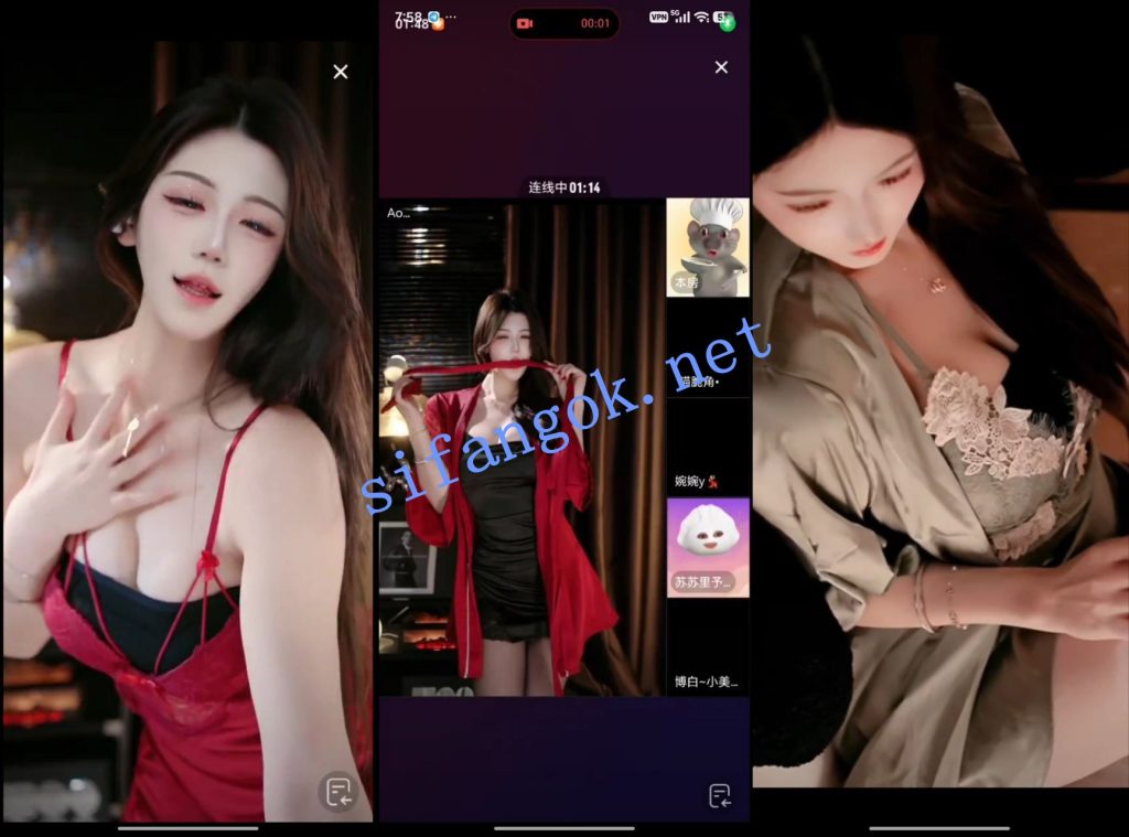 【抖音】小唯文化传媒 礼物擦边舞蹈 32V【32V】【2.49G】 预览图 3