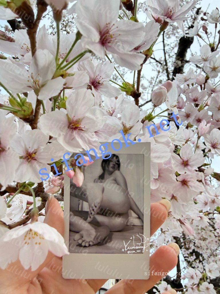 推特裸舞小美女 yum707玉米 4月VIP裸舞 一起看樱花 明信片【4V18P】【141M】 预览图 5