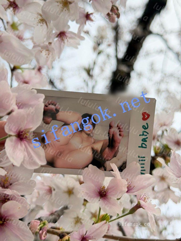 推特裸舞小美女 yum707玉米 4月VIP裸舞 一起看樱花 明信片【4V18P】【141M】 预览图 6