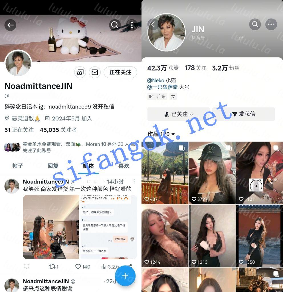 X,INS,抖音极致性感欧美风名媛-NoadmittanceJIN 高价漏奶口交啪啪【6V146P】【249M】