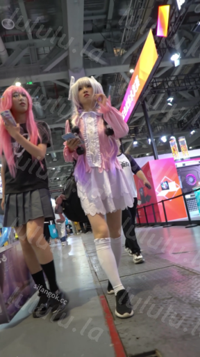 【WaltzCD】华尔兹2023系列之50cosplay系列粉内【1V】【334M】 预览图 4