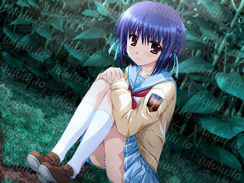 【日式ADV】向日葵的少女 汉化版[AI去码版] 预览图 3