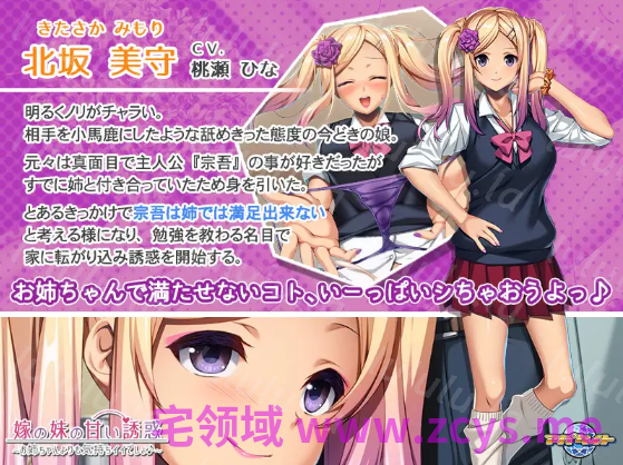 【拔作ADV】嫁の妹の甘い誘惑 ～お姉ちゃんよりも気持ちイイでしょ♪～AI汉化版 预览图 4