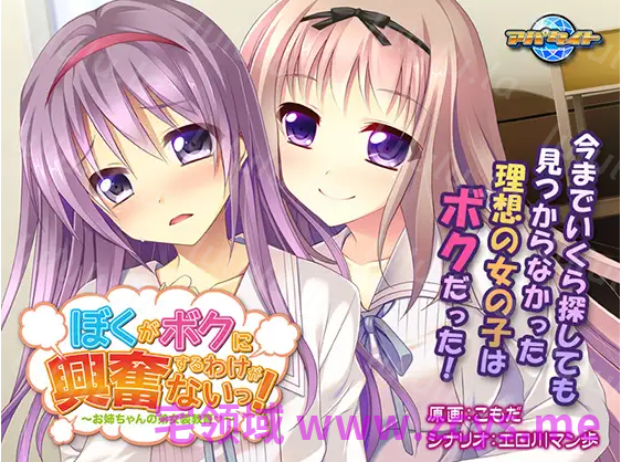 【拔作ADV】ぼくがボクに興奮するわけがないっ！ ～お姉ちゃんの弟女装教育～AI汉化版 预览图 3