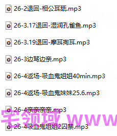 桥桥超温柔 4月舰 455M百度盘