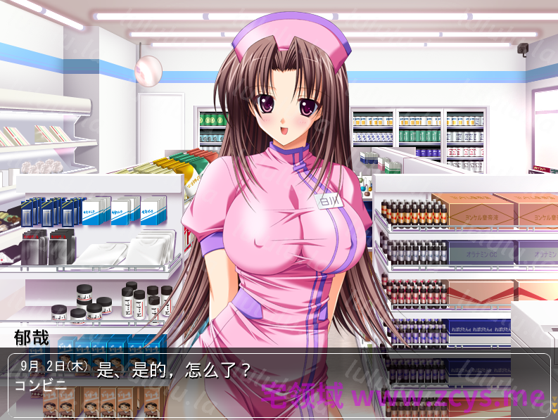 【拔作ADV】ナースにおまかせ KAGUYAコレクション GPT汉化版 预览图 2