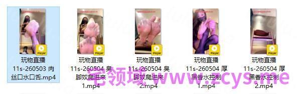 玩物直播11s-260503+260504 五部合集【5V】【2.16G百度云】 预览图 2
