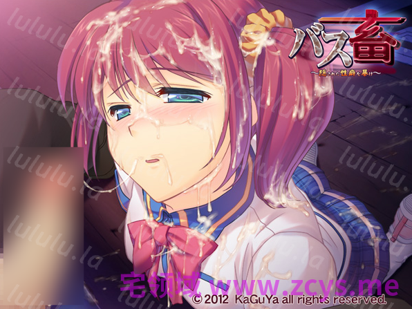【拔作ADV】バス畜 ～隠された性癖を暴け～AI汉化版 预览图 4