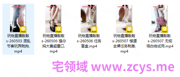 玩物直播敢敢s-260503-260507 五部合集【5V】【1.5G百度云】 预览图 2