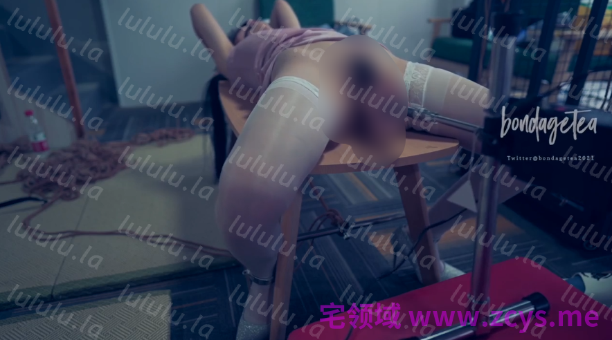 狗笼调教平板拘束1v630m 预览图 2