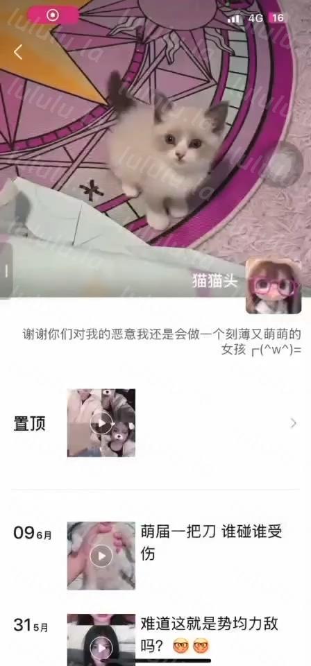微信 猫猫头 气质良家 巨乳 露脸露点 自慰 B特写 洗澡等 8V【8V】【943M】 预览图 2