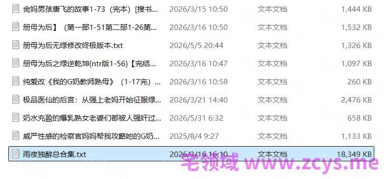 专写骚熟淫母文 雨夜独醉目前为止最全合集 预览图 1