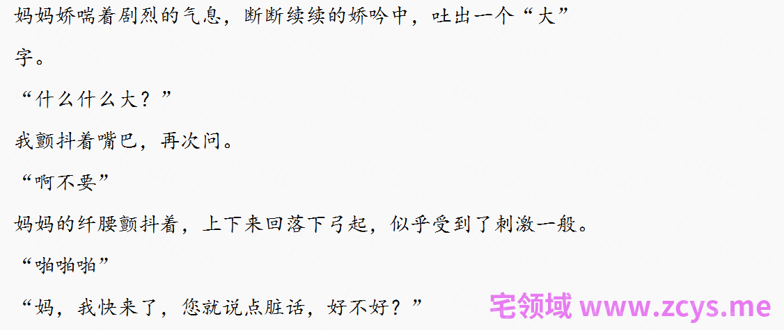 韵母攻略小说.txt 预览图 2