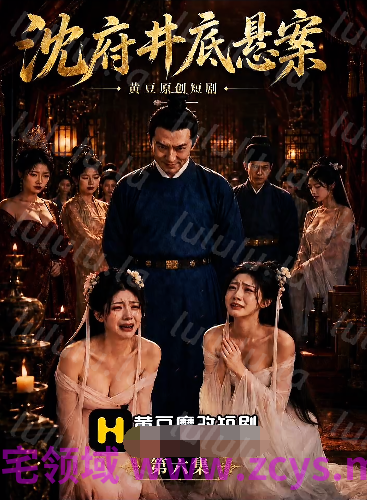 沈府密事第六集[210M] 预览图 1