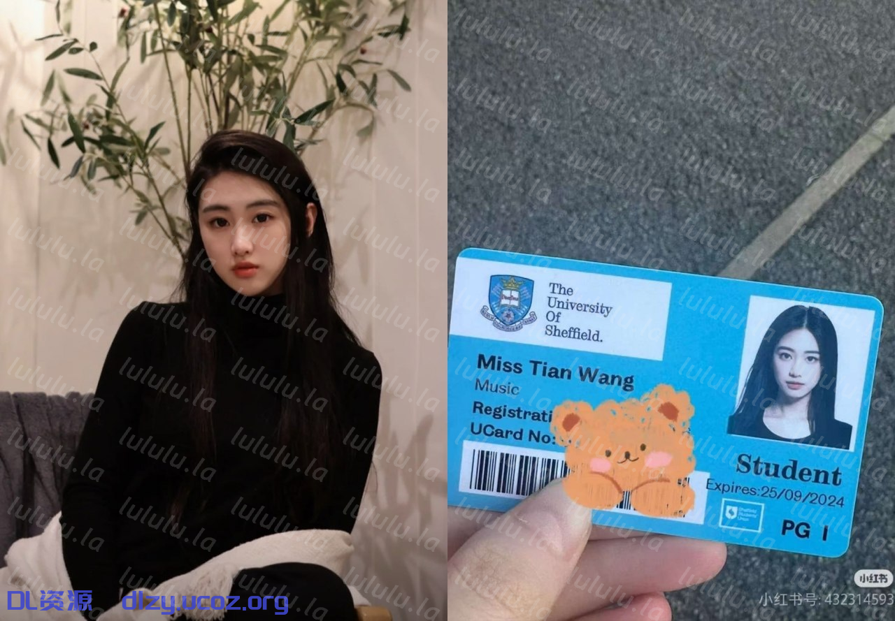 【原相機洩密】氣質留學生小姐姐露臉性愛啪啪自拍，跪着吸雞巴眼睛含情脈脈直勾勾盯着炮友，原檔無水印 334.3MB 预览图 1