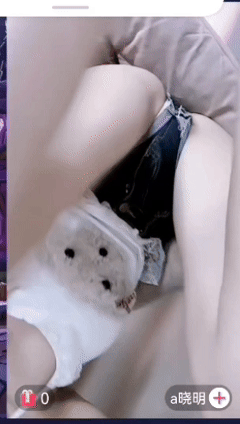 快手 金鱼大尺会议室+奶甜 路遥 羊咩咩 骚舞啪啪福利合集【22V】【2.16G】 预览图 18