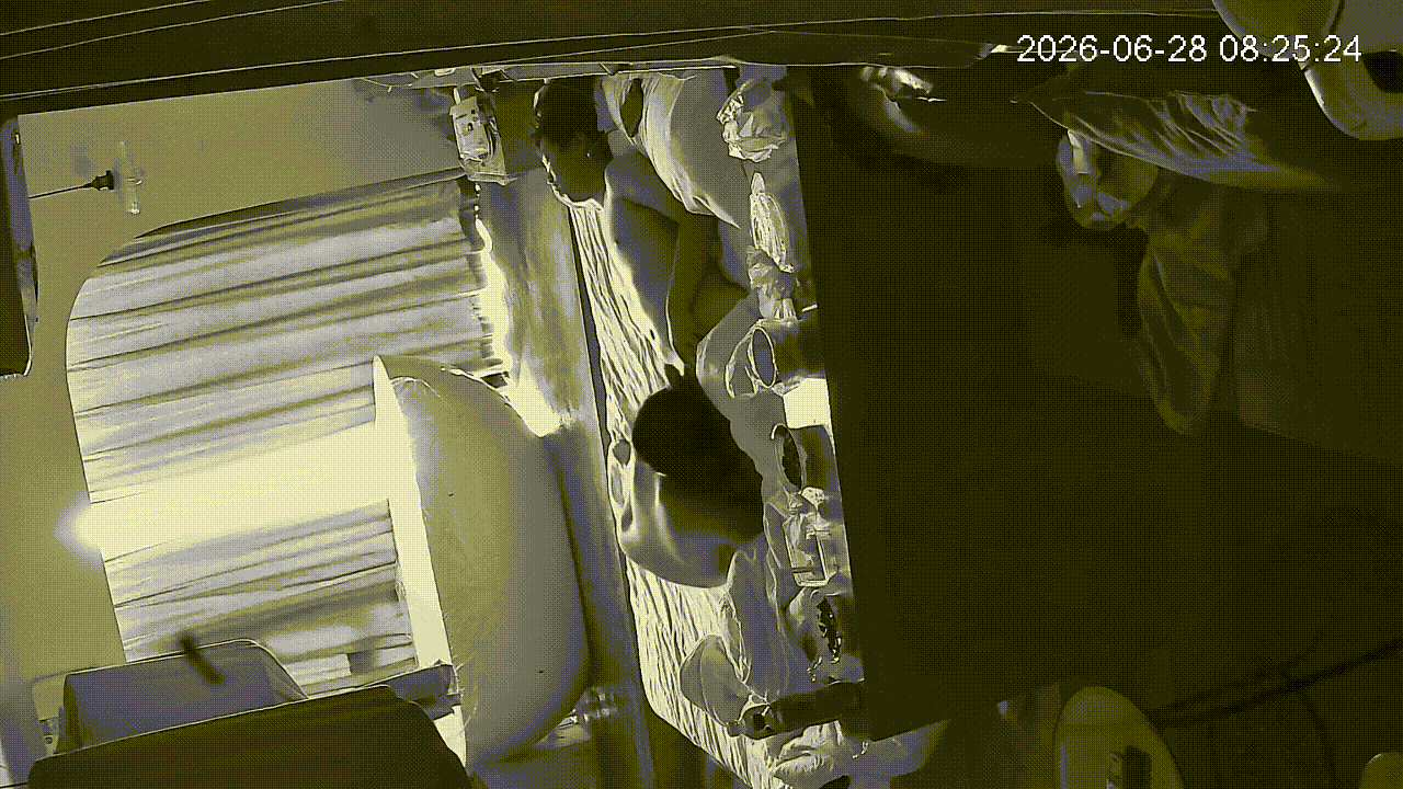 6-28流出海景房偷拍❤️素顔小學妹帥氣男友進房用紅外線掃描有沒有攝像頭化身cos小女仆多姿勢舔屌我還要 998.4MB 预览图 3
