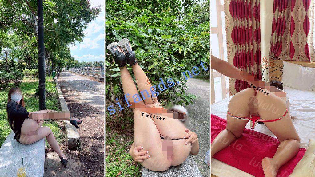 推特【丰乳肥臀 露出系女神】vcpublic刺激视图合集 TT-09 预览图 6