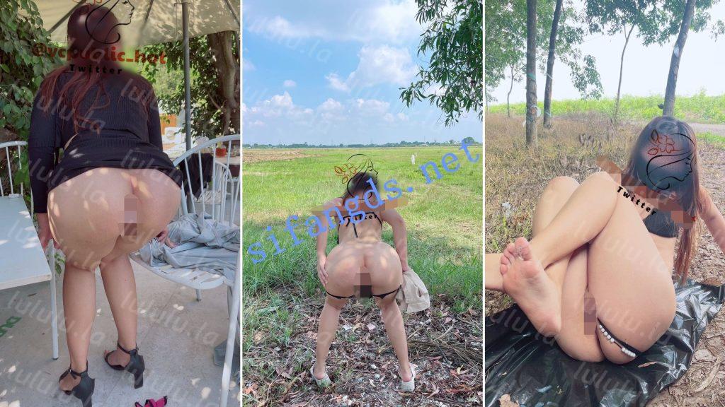 推特【丰乳肥臀 露出系女神】vcpublic刺激视图合集 TT-09 预览图 2