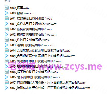 NO.2900 RJ01565395【口交＆吞精特化】口部侍奉专家的5种口交 5.09G 预览图 2