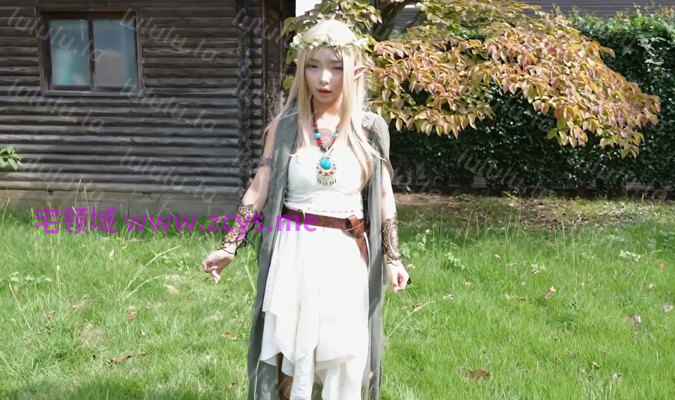 FAYS-011 异世界精灵Cosplay 【1V3.83G】 预览图 1