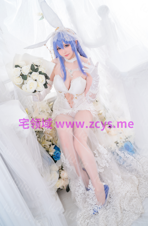 各种coser 新泽西合集 【415P 3GB】