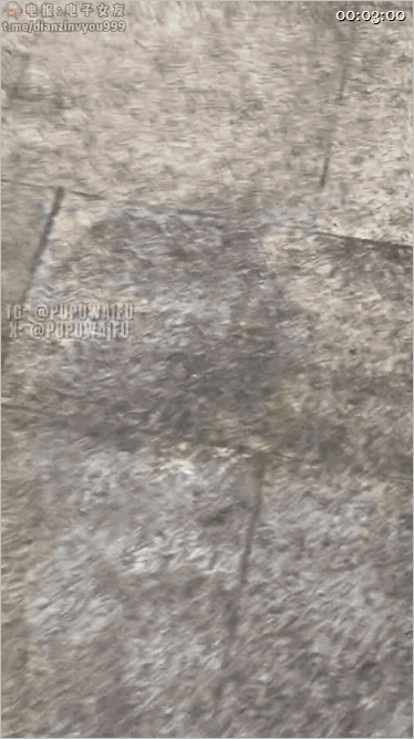 推特極品阿黑顔母狗「Pupu噗噗」天哪，你什麽意思，你錄下了整個過程，大網黃噗噗被粉絲偷拍樓梯間停車場打炮全記錄 824MB 预览图 1