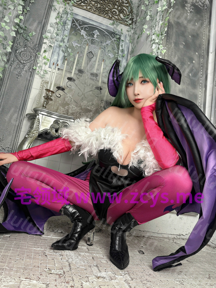 [KURUPIKA (Momoiru Reku)] MORRIGAN NIGHT STAGE 【274P 544MB】 预览图 3