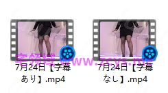 NO.3331 pomeko/ポメ子 手淫 7月24日 2V 5.76G 预览图 2
