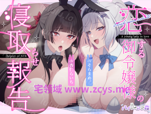 NO.3481 RJ01671105 坠入爱河的大小姐的绿奴报告～黑&白兔女郎篇～3.22G 预览图 3