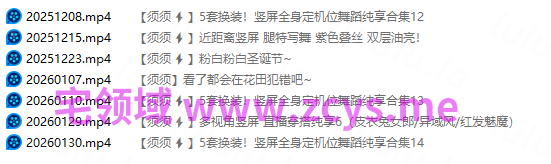 NO.3524 小须须_Arcana 充电视频25.12&26.1 7V 816M 预览图 4