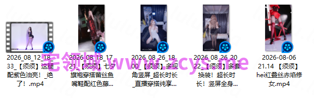 NO.3600 小须须_Arcana 8月充电视频 5V 2.11G 预览图 4
