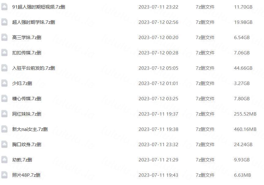 91唐伯虎合集 300+V 135.88G