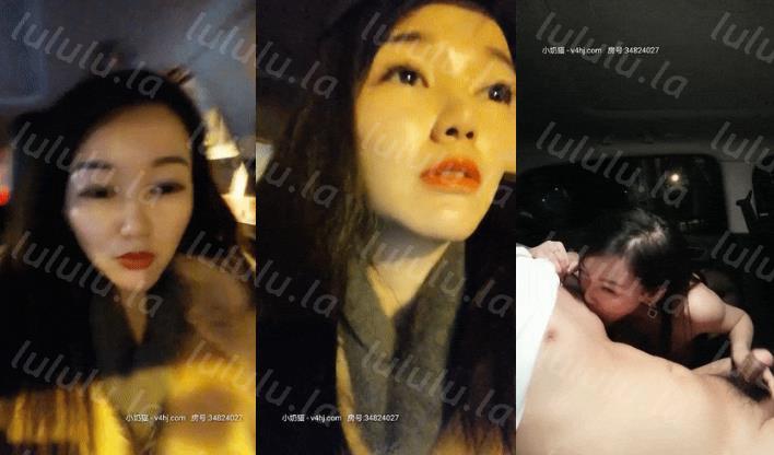 坐标成都，【酒店培训师】风骚御姐，勾搭滴滴司机，小区前车震，时不时有路人经过，紧张刺激体验别样性爱经历-福利岛