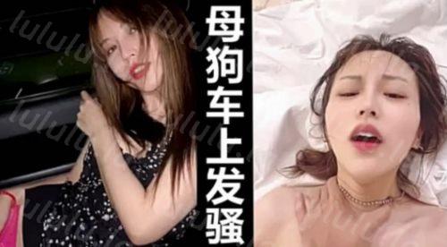 高颜值妹妹车上就发骚忍不住了 用大吊给她止痒-福利岛