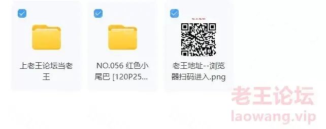 [自行打包] NO.056 抱走莫子红色尾巴 [120p25v+2.61G][百度盘]-福利岛