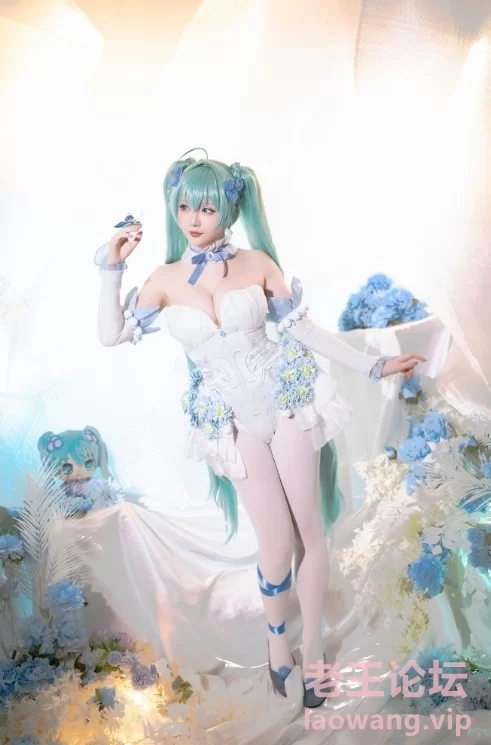 [转载搬运] 星之迟迟 – 24年02月计划A 初音未来-粉蝶花精灵  【百度云】 [54P+1V+1.04G][百度盘]-福利岛