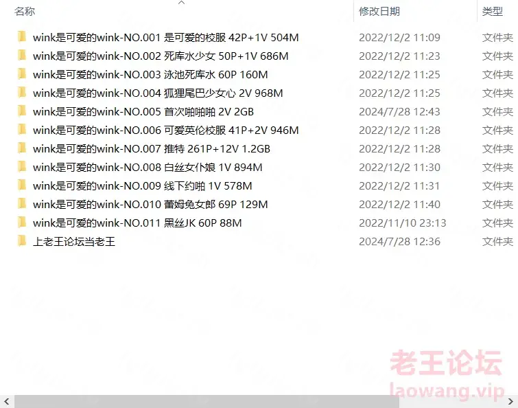 [自行打包] 【wink是可爱的wink】合集 [11套+7.96G][百度盘]-福利岛
