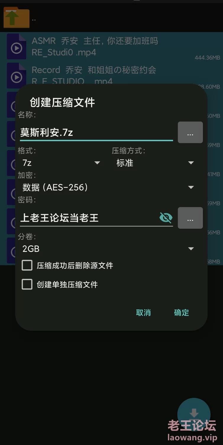 [自行打包] Maggie乔安✔8V 2.89G [8+2.89GB][百度盘]-福利岛