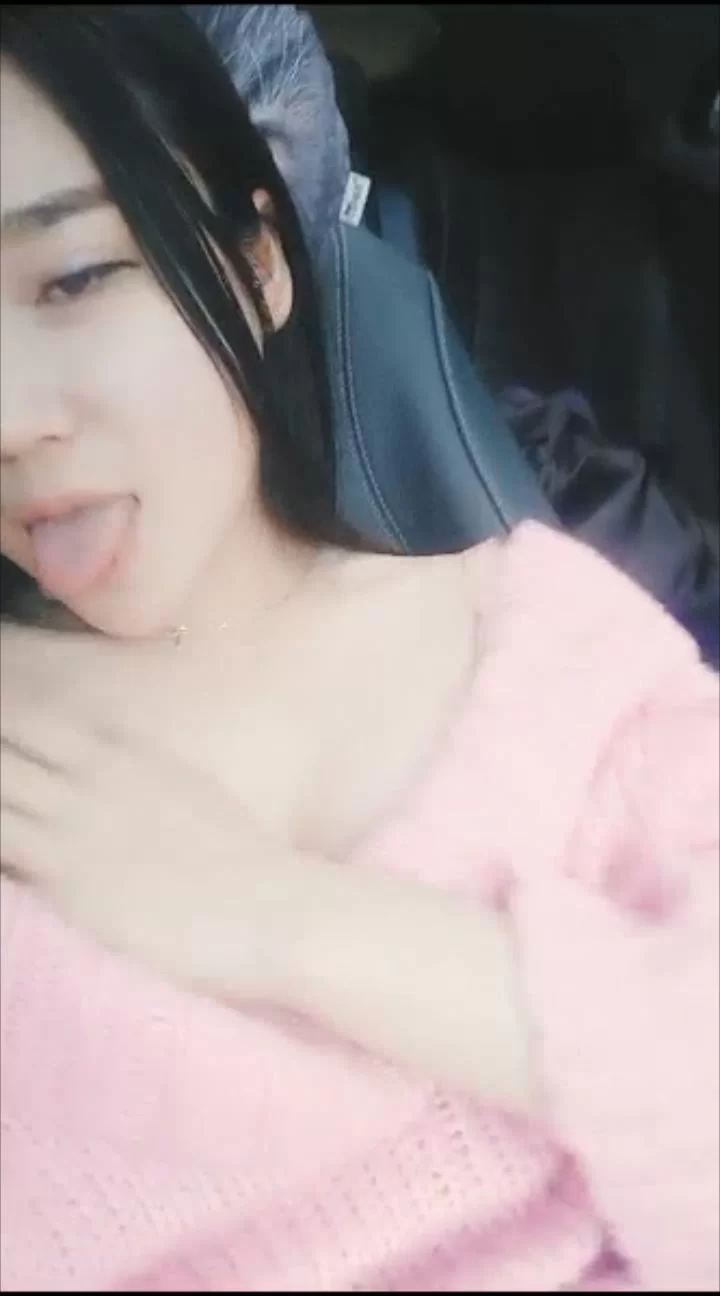 [转载搬运] 收藏的气质女主视频 [10V+3.10G][百度盘]-福利岛