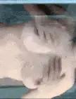[转载搬运] 甜美美乃滋 韵味十足贵妇气质极尽风骚 [2v+3.4g 百度盘］ [1+3.4G][百度盘]-福利岛
