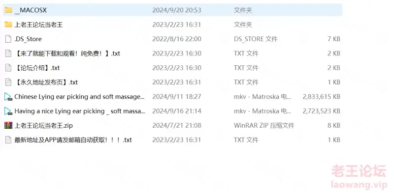 [自行打包] 躺式采耳 & 柔式按摩SPA（八）4K【5.29G/2V】 [2V+5.29G][百度盘]-福利岛