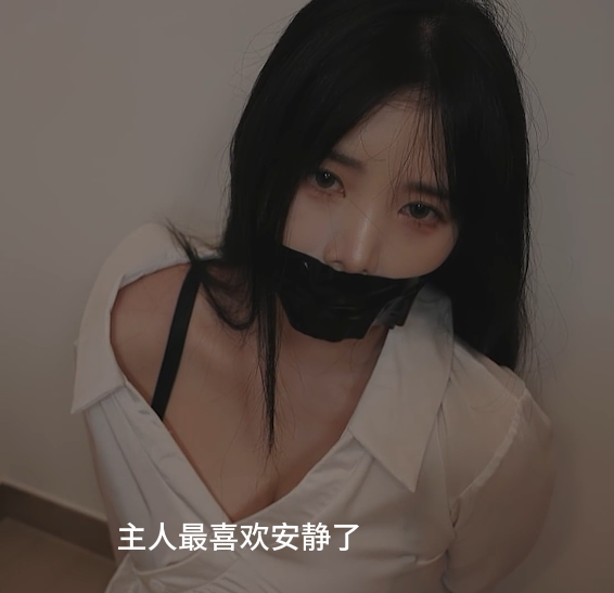 yoonying 病娇AI女仆 1V1.25G百度盘-福利岛