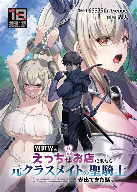 [65535あべぬー (赤人)] 異世界のえっちなお店に来たら元クラスメイトの聖騎士が出てきた話-福利岛